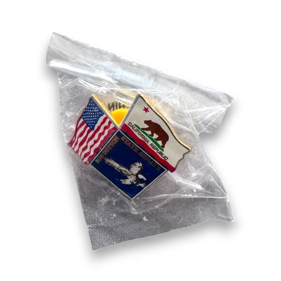 Bob Dutton California State Senate Enamel Lapel Pin US and California Flag - Picture 3 of 4
